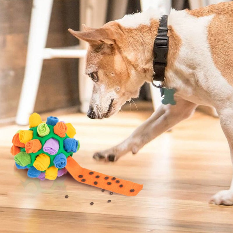 Interactieve speelbal voor honden
